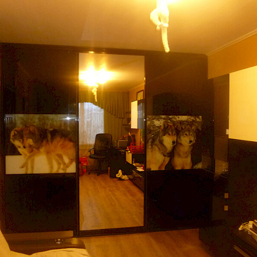 Встроенный шкаф-купе с зеркальной дверью и фотопечатью